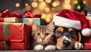 Christmas Collection