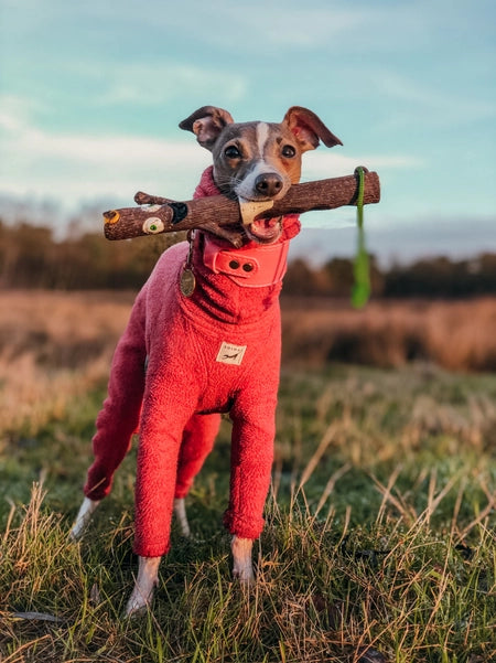 The Superstick Fetch Toys - Incredible Stalk
