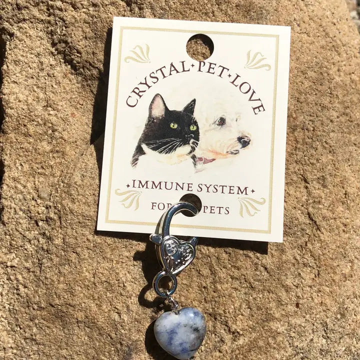 Sodalite Heart Immune Support Pendant