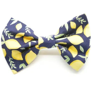 Lemons Bow Tie