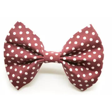Maroon Polka Dot Bow Tie
