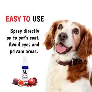 Wet Kiss Dog Cologne - Pomegranate & Fig- 2 oz