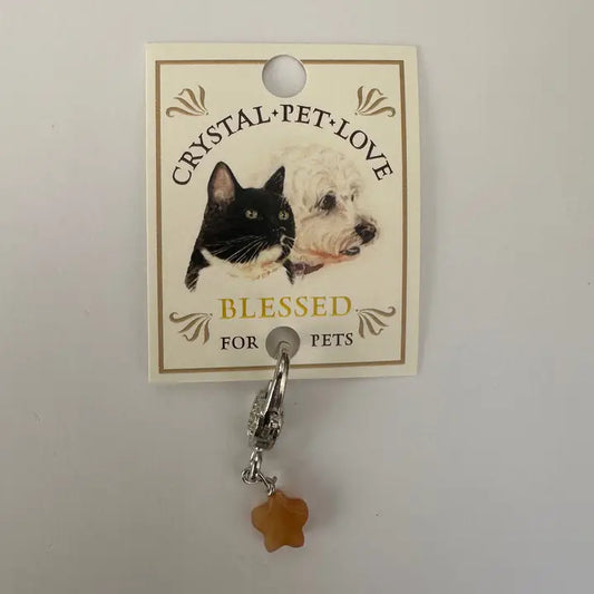 Citrine Blessings Pendant
